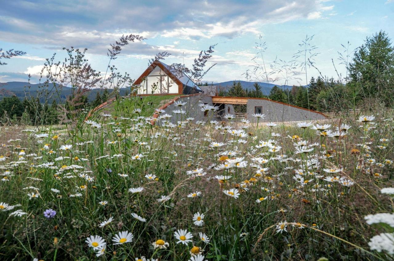 Beechtree Property Извоаре Экстерьер фото