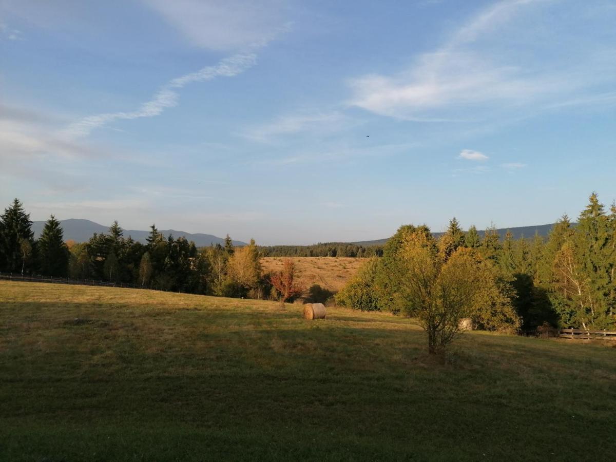 Beechtree Property Извоаре Экстерьер фото